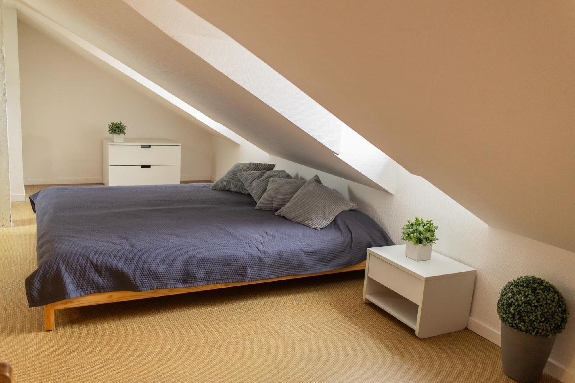 City Center Duplex Loft Colmar Exterior photo